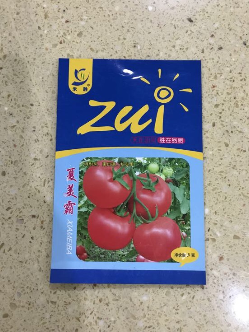 西红柿种子