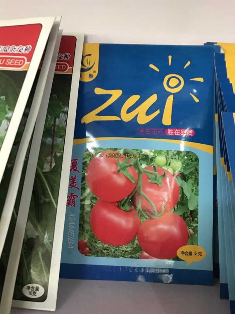西红柿种子