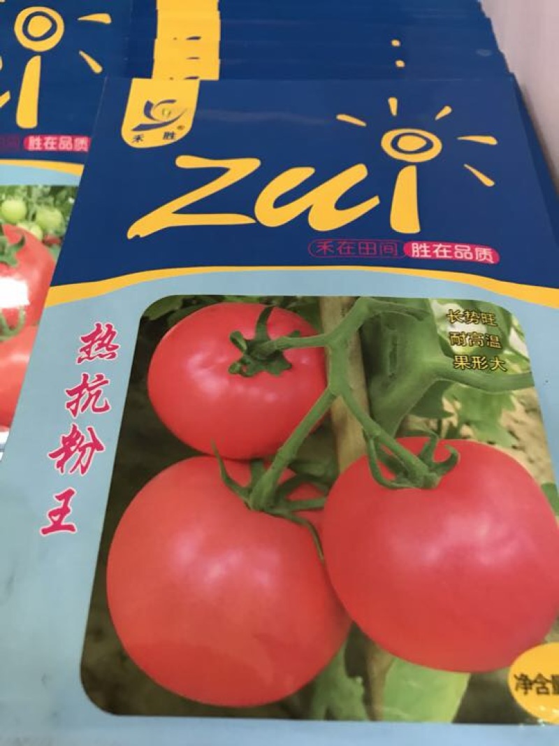 西红柿种子