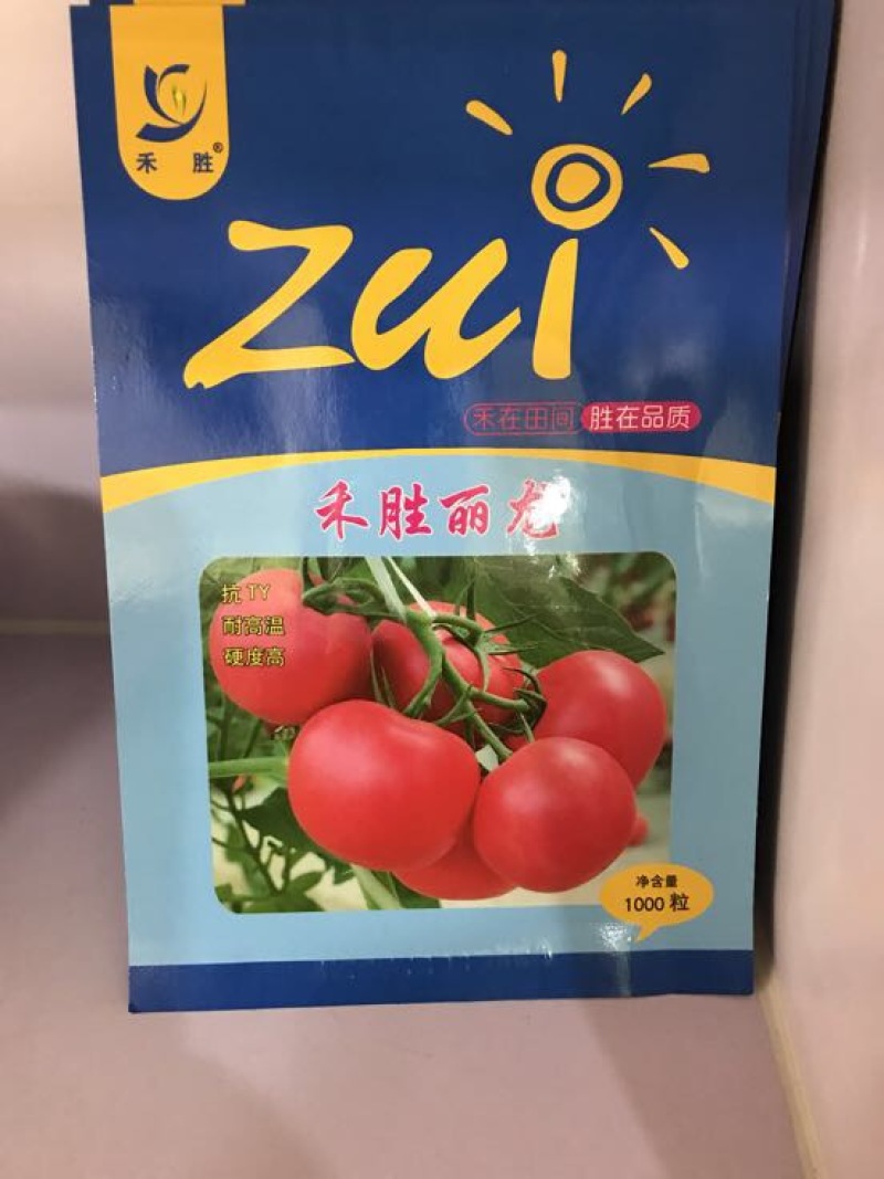 西红柿种子