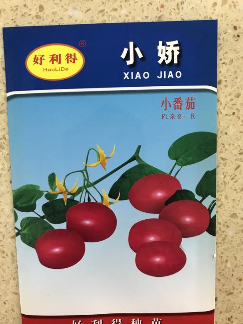 西红柿种子