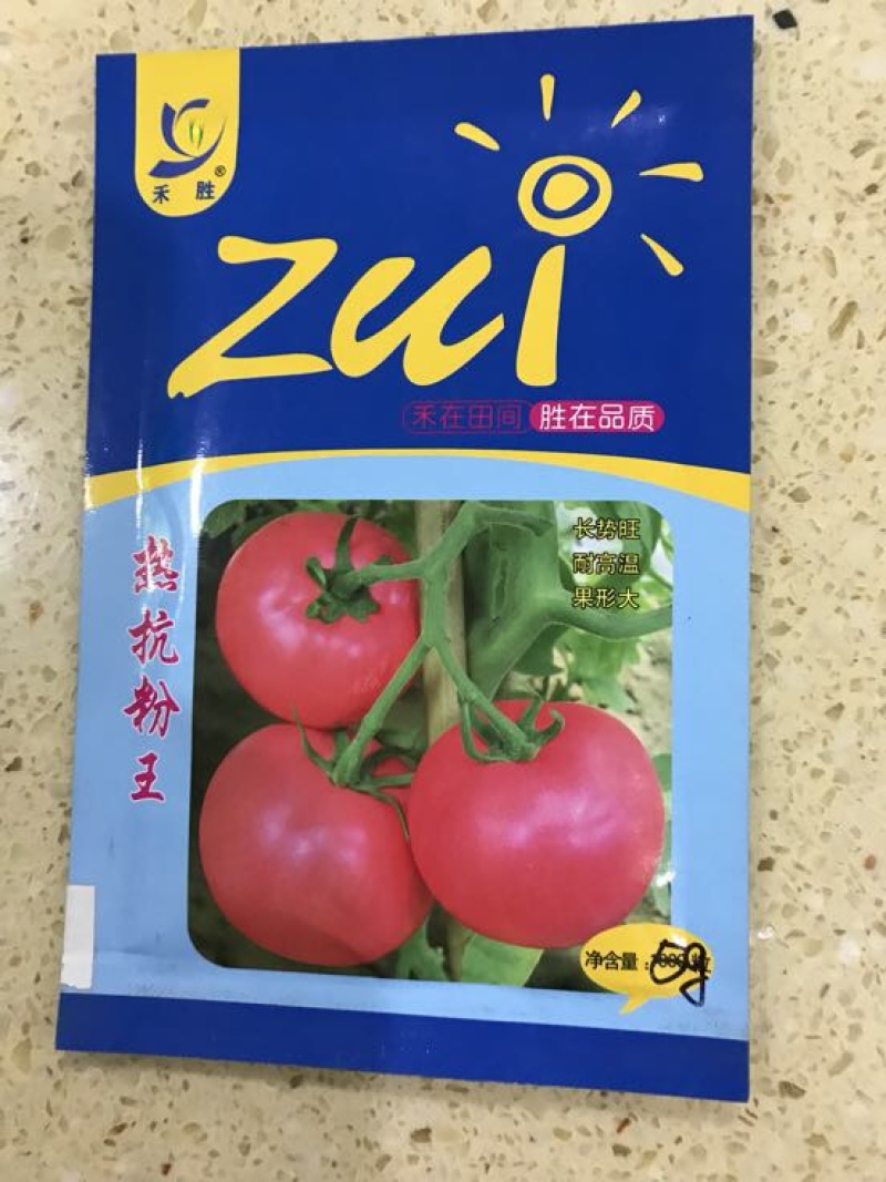 西红柿种子