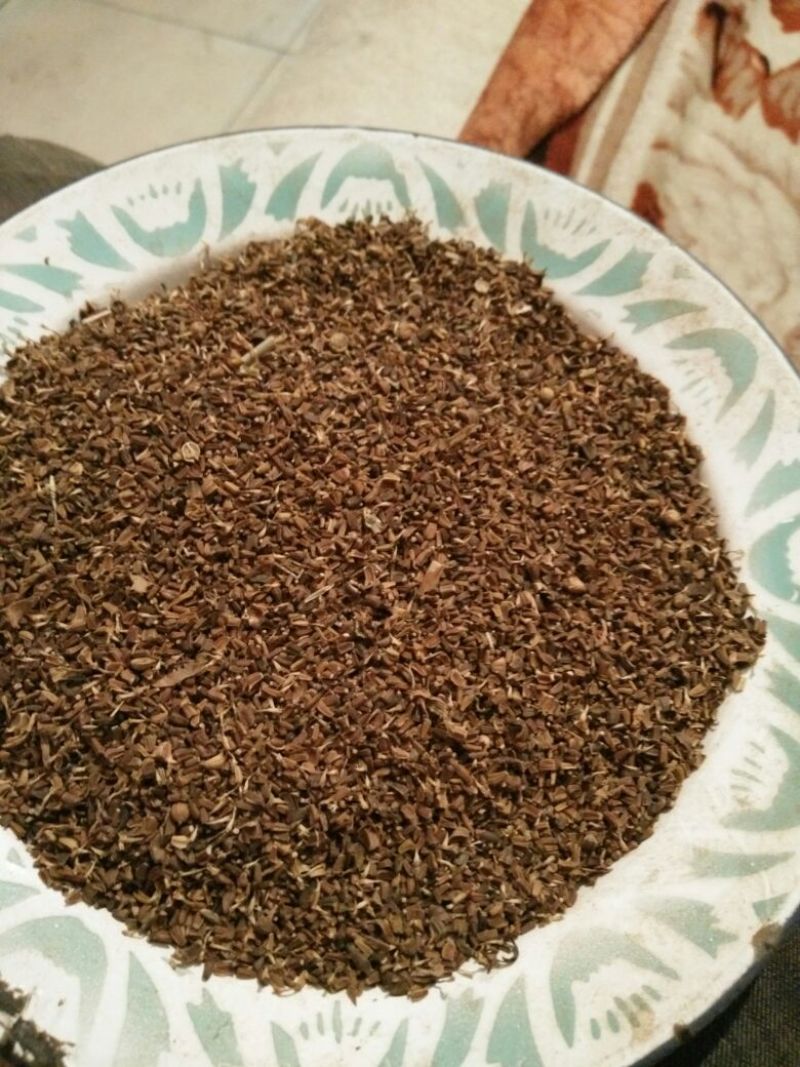 茼蒿种子
