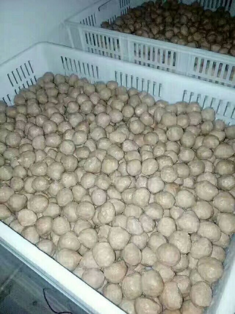 丸子
