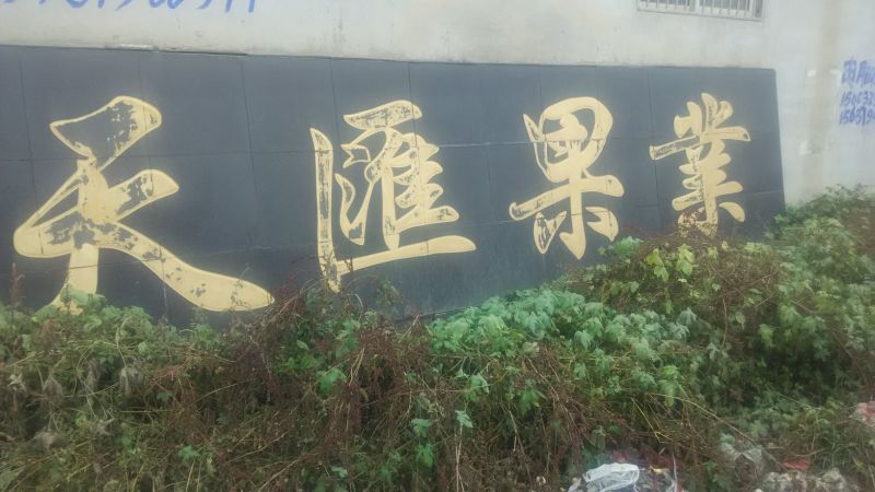 鸭梨纸箱250~300g