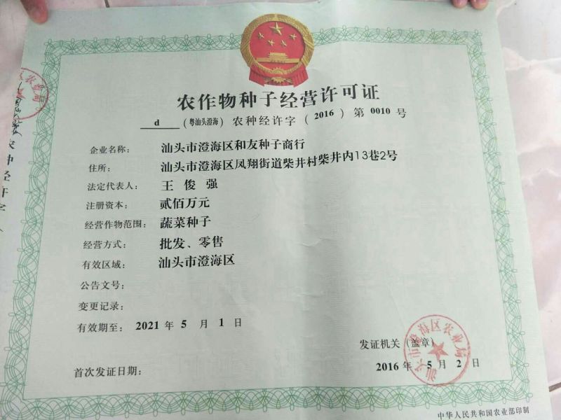 冬瓜种子黑皮冬瓜，心室小，光亮黑，耐运输