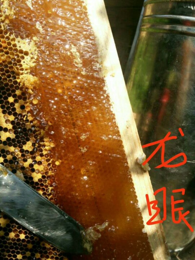 荔枝蜜2斤