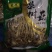 茶树菇14cm