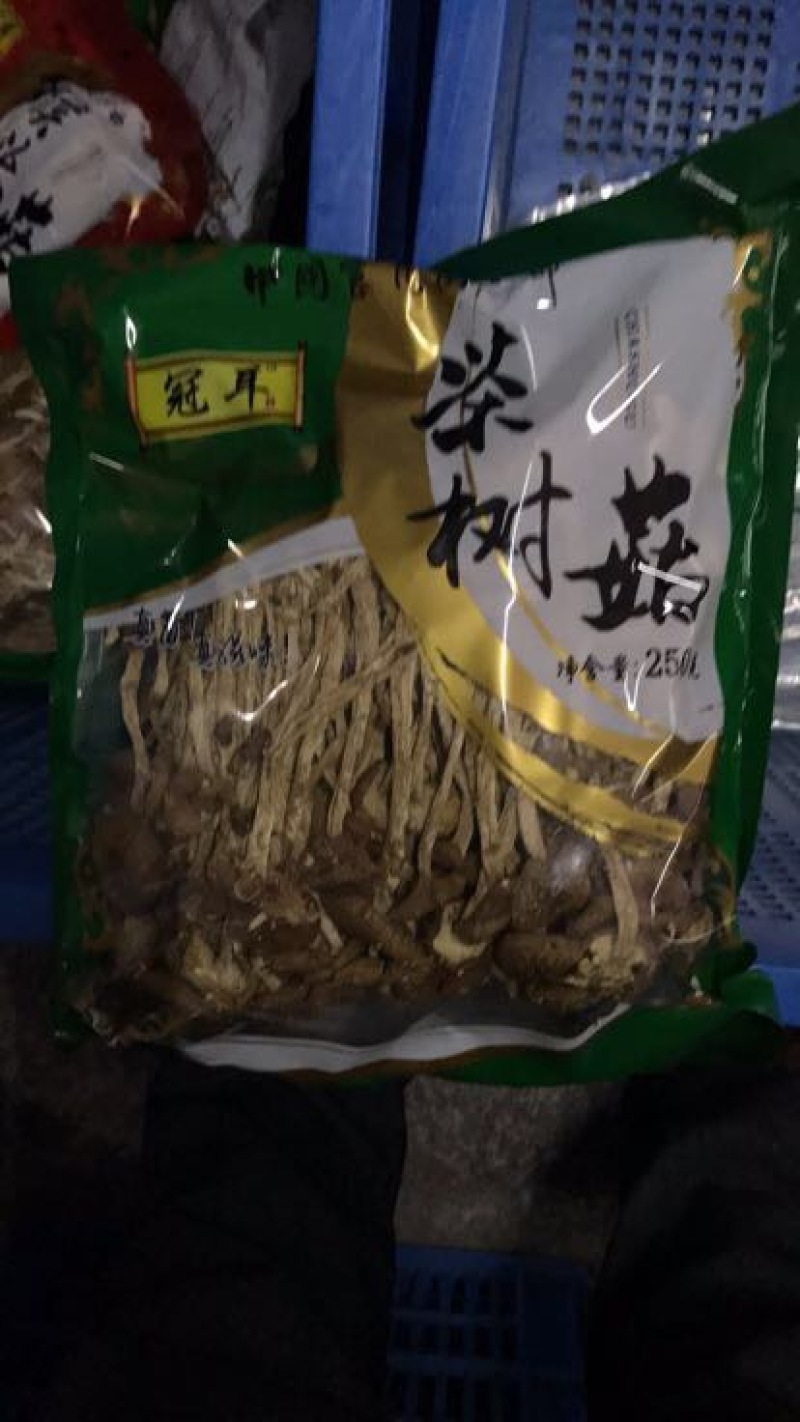 茶树菇14cm