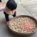 花生干货带壳