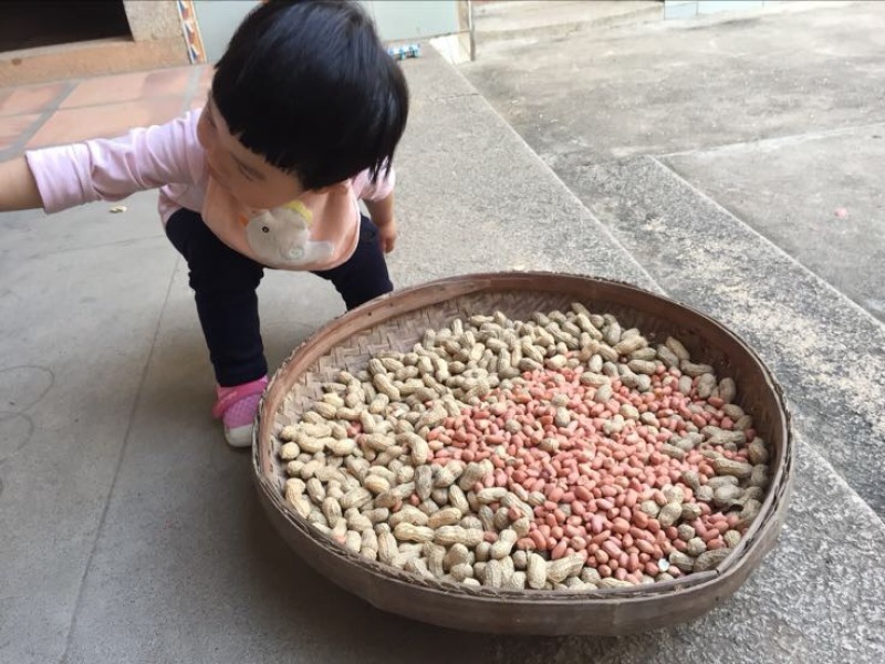 花生干货带壳