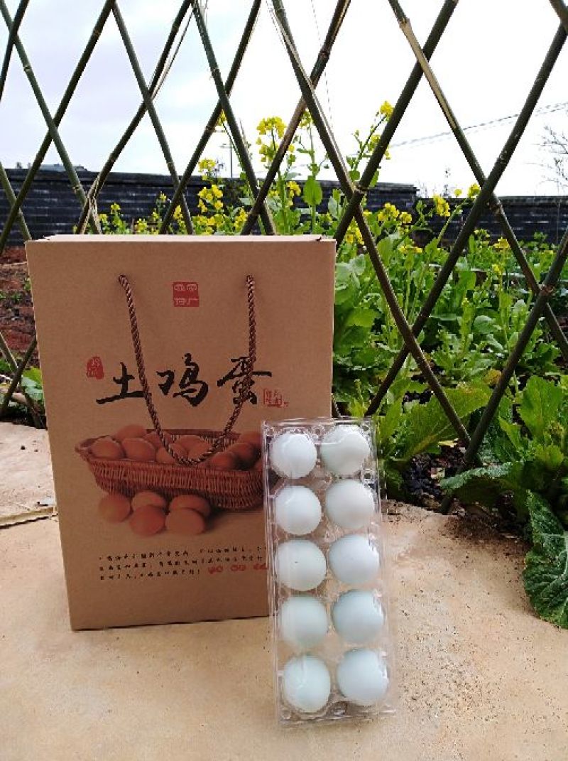 绿壳鸡蛋食用50~60g