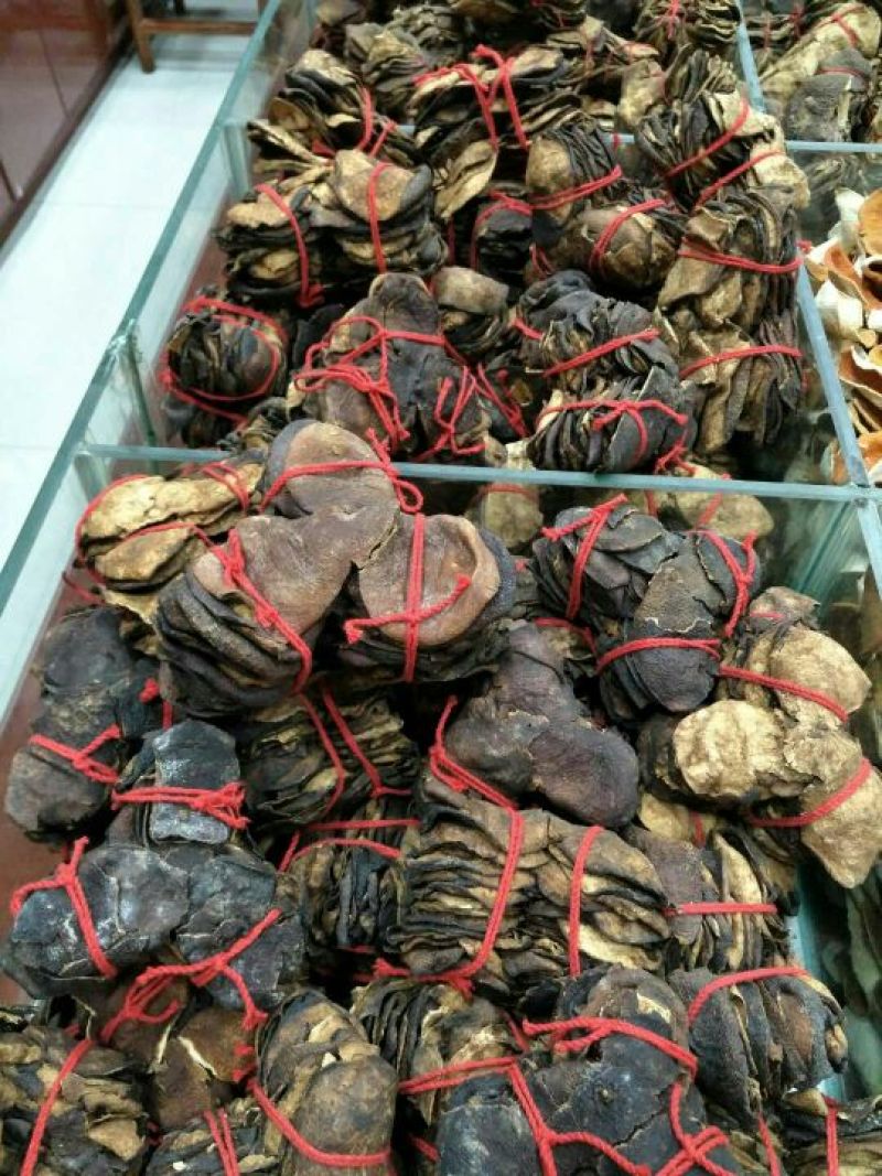 陈皮杂个