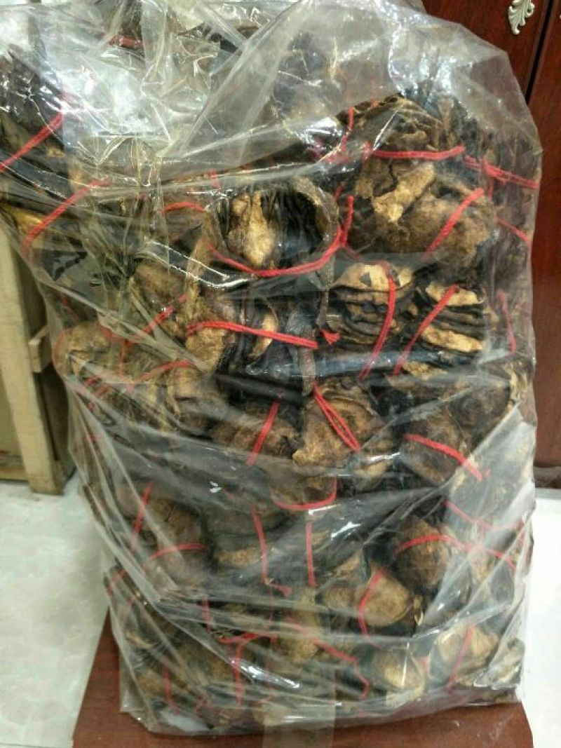 陈皮杂个