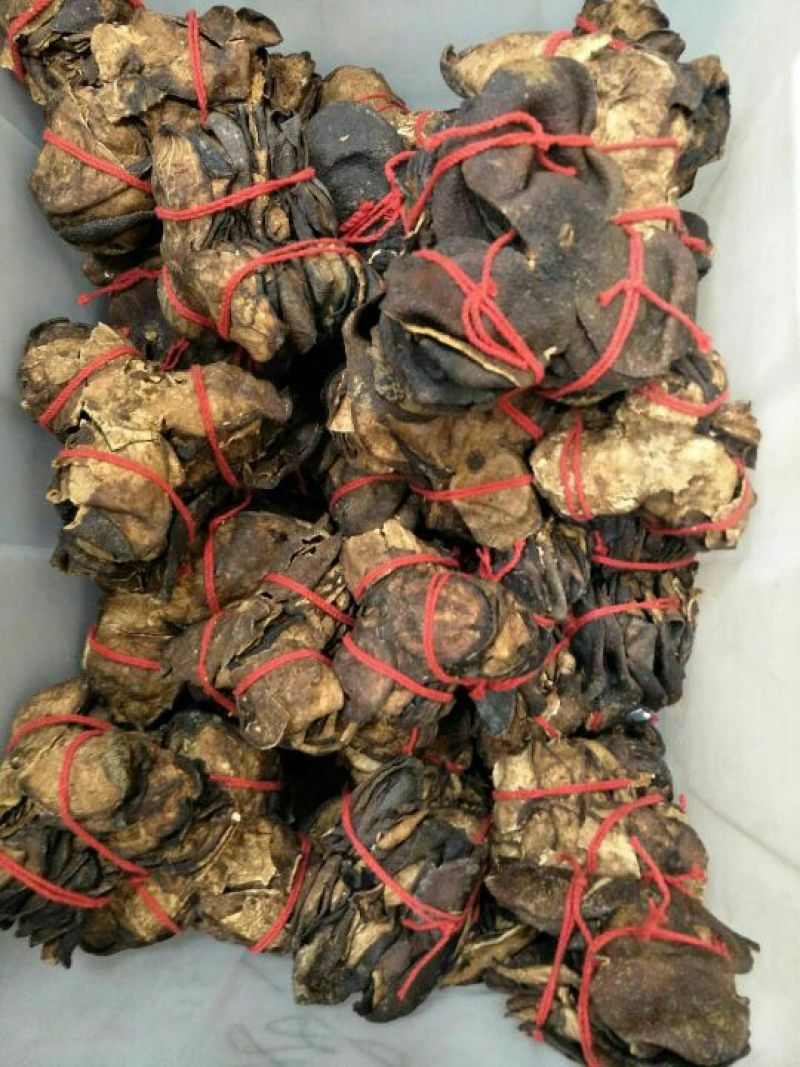 陈皮杂个