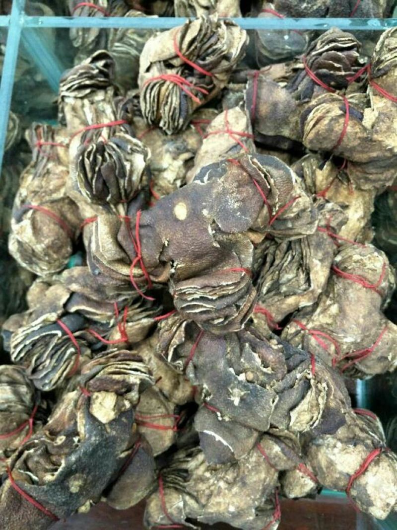 陈皮杂个