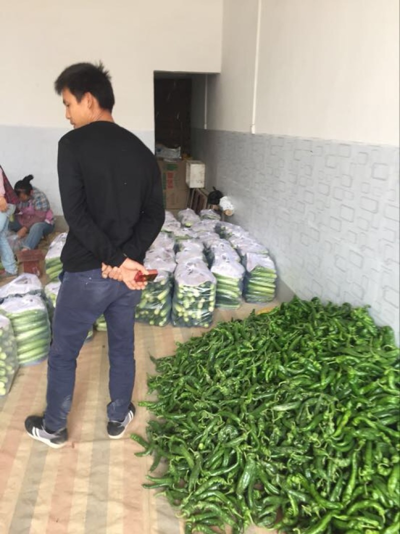重庆大白黄瓜18~22公分鲜花带刺