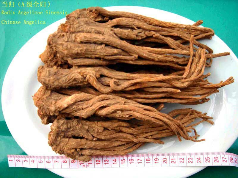 岷当归中颗精品货