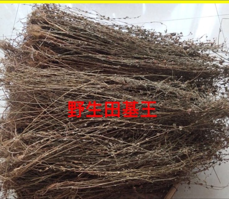 野生田基黄无硫无添加新货产地直供一手货源