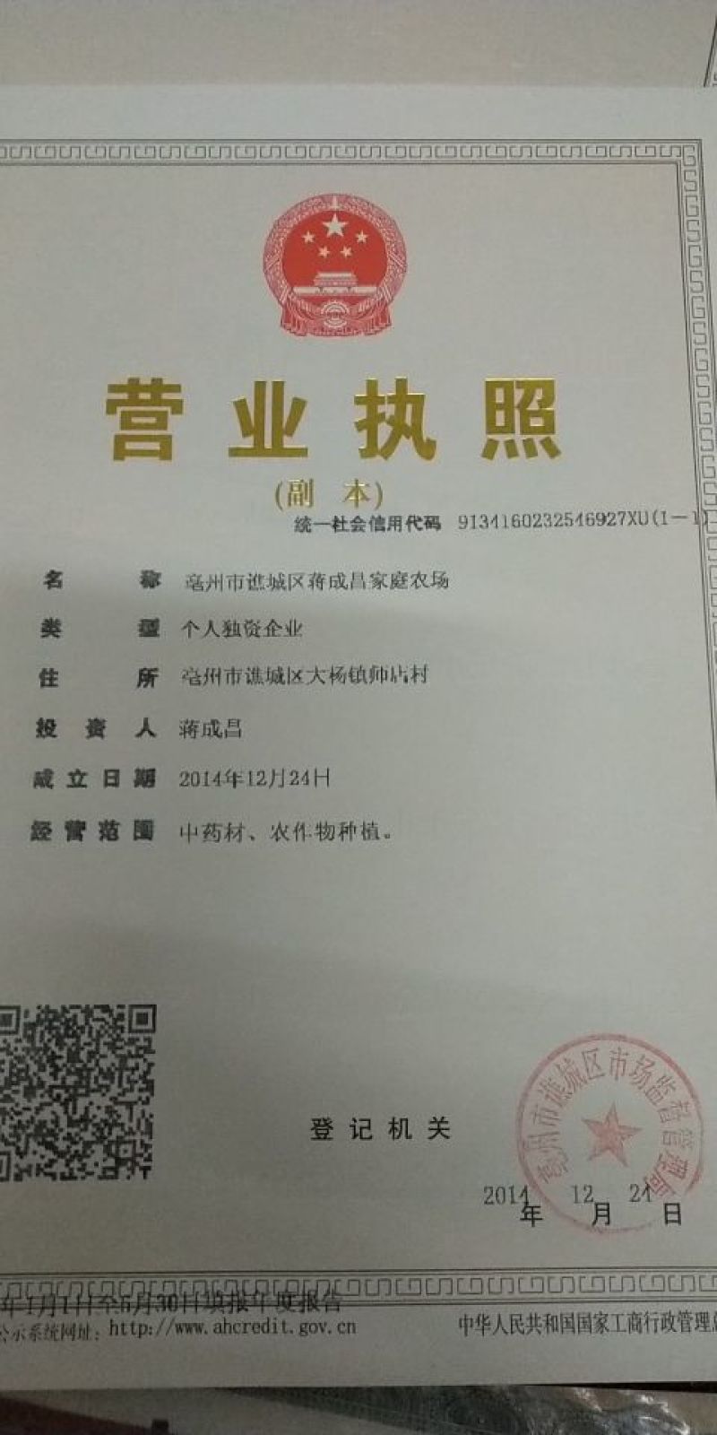 吴茱萸苗吴茱萸苗送生根粉