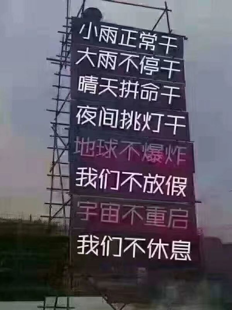 黄黄豆中等