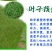 狗牙根各种草坪种子狗牙根种子
