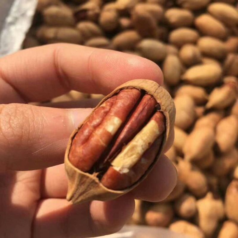 碧根果去皮25~30mm干