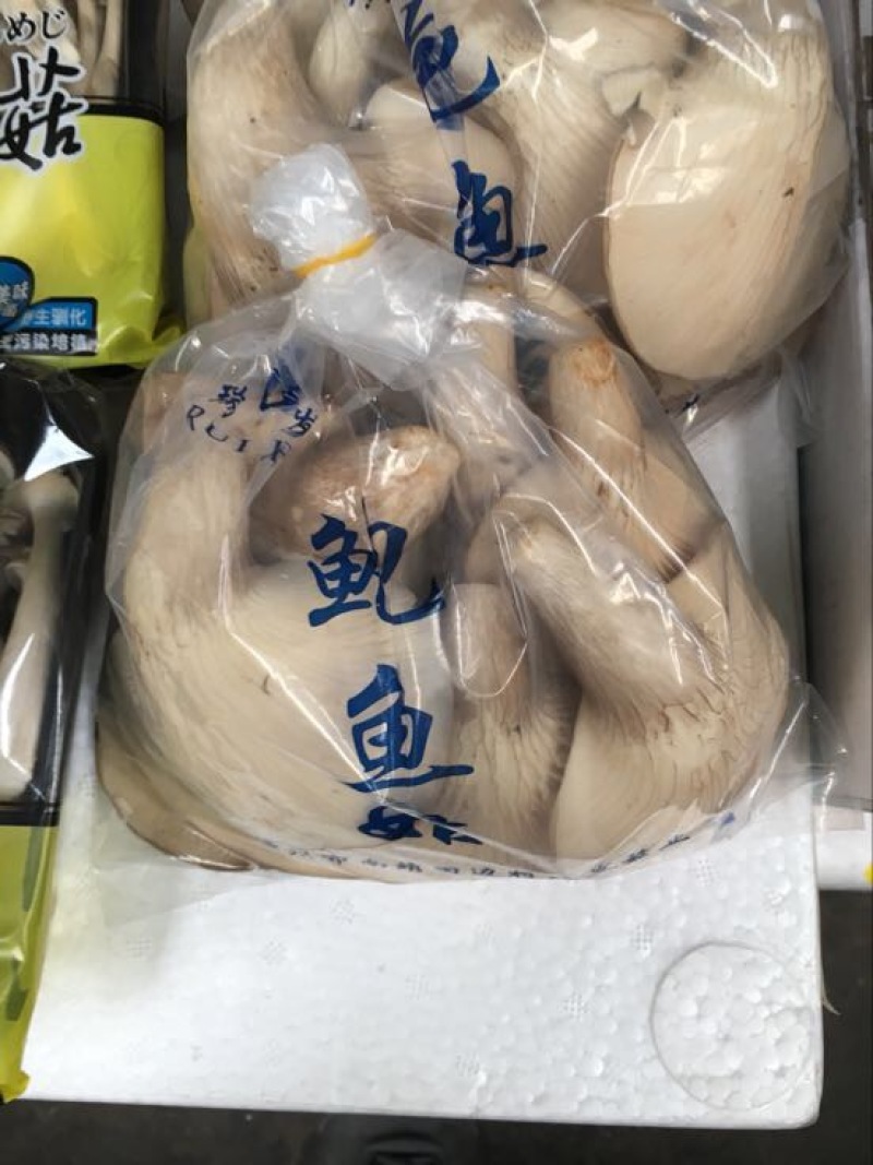 黑牛肝菌羊肚菌一级