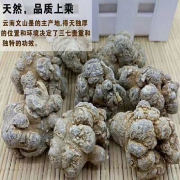 三七20头选货干货