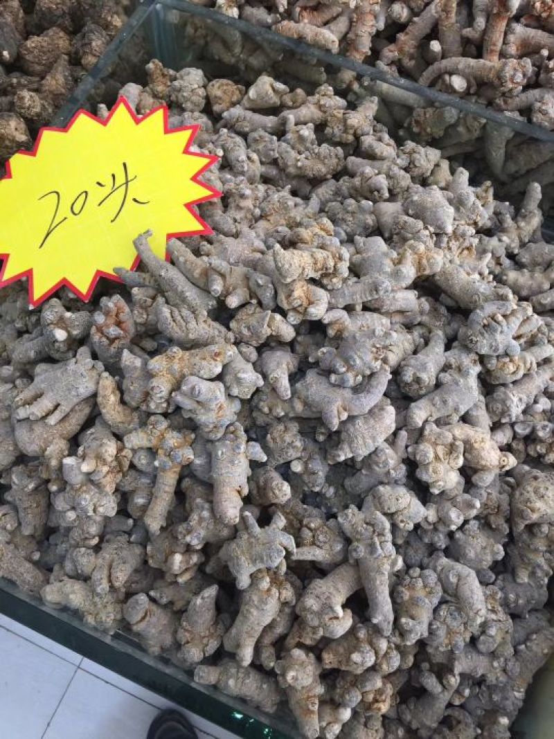 三七20头选货干货