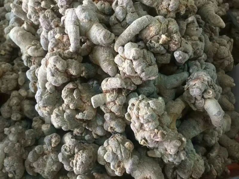 三七20头选货干货