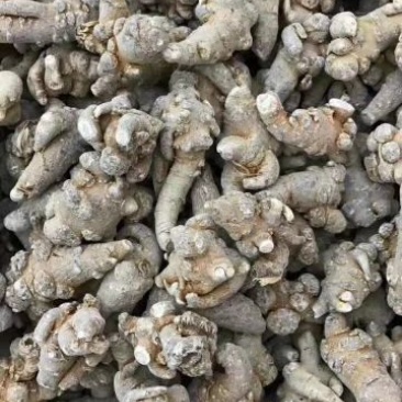 三七30头统货干货