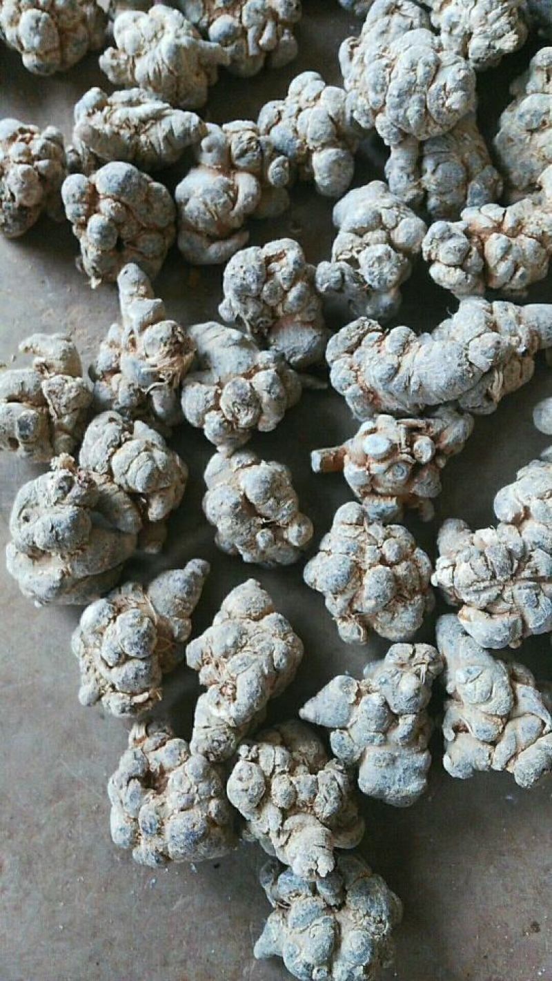 三七30头统货干货