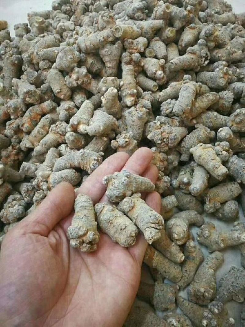 三七粉40头粉