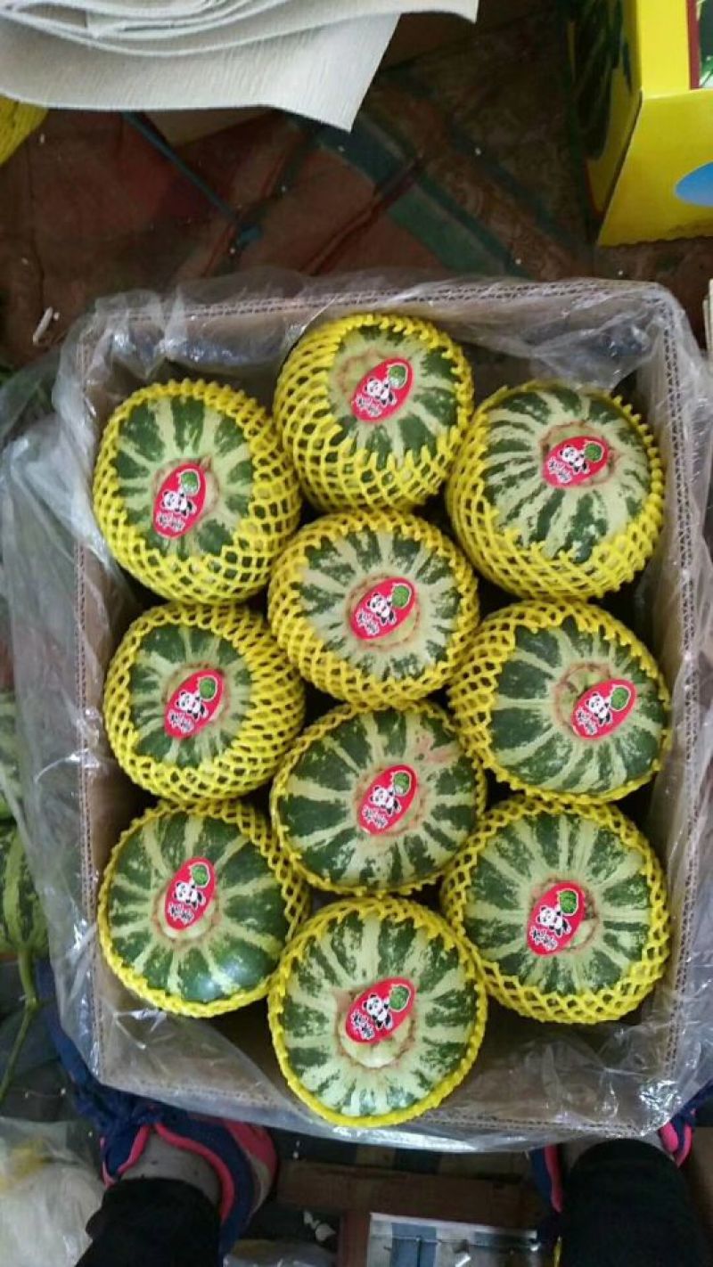 花蕾甜瓜统货0.5斤以上