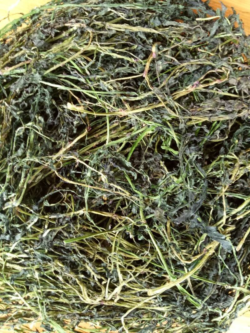 豆瓣菜放心菜