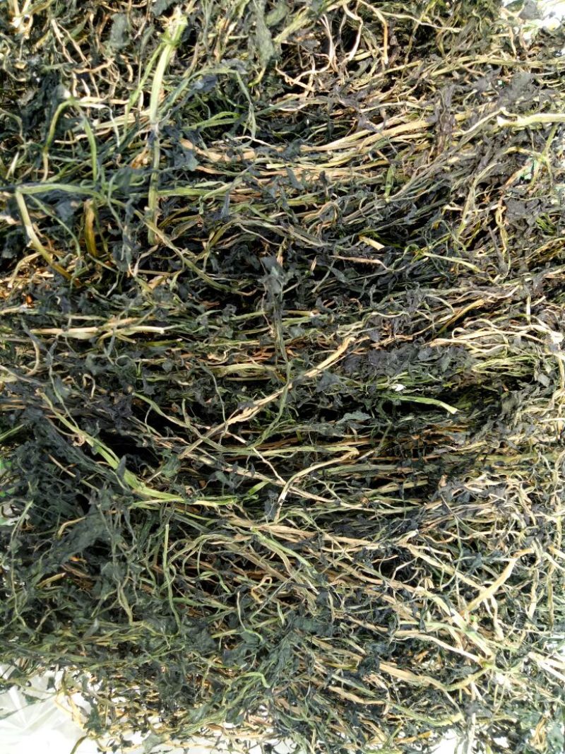 豆瓣菜放心菜