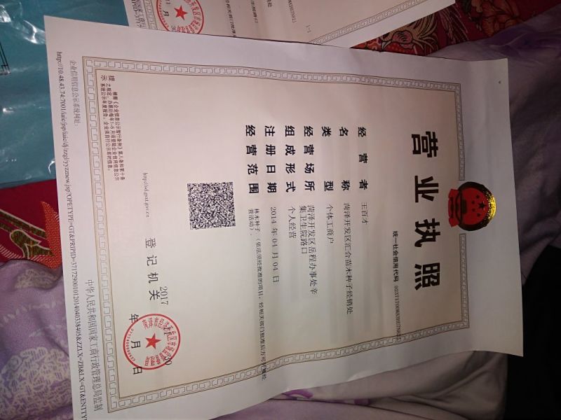 栾树种子沙藏好的种子，随时下地播种