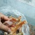 水煮笋干足干，颜色好