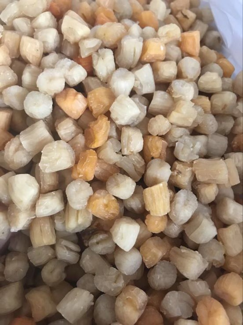 干瑶柱