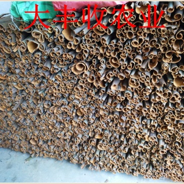 桂皮散装中通