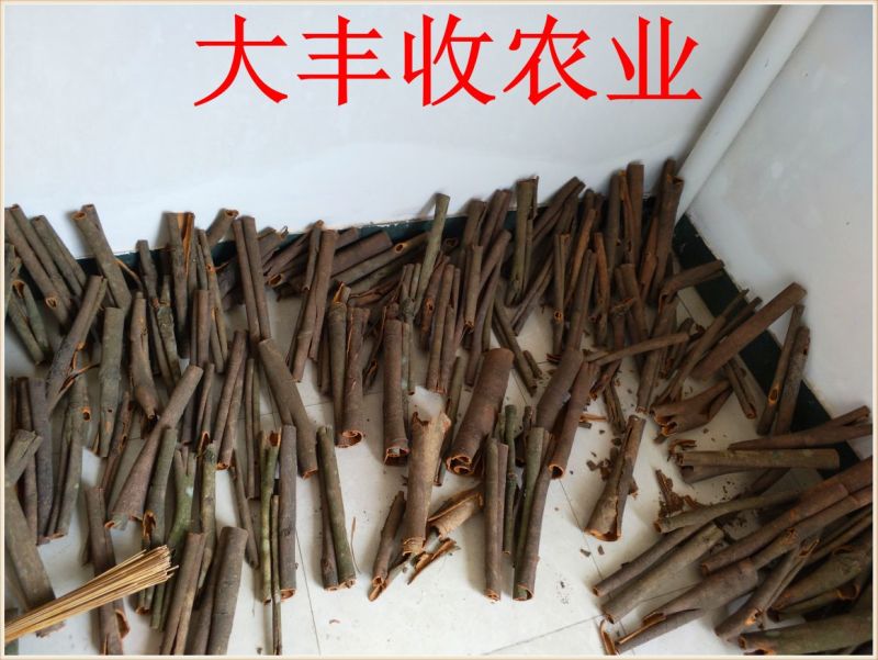 桂皮散装中通