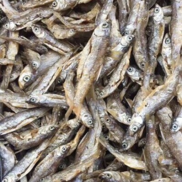10公分左右开肚鱼干炸鱼开肚鱼干，原汁原味无添加