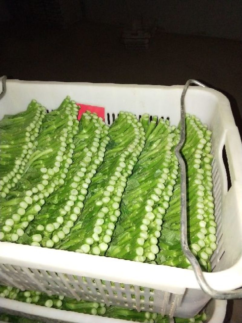 苔菜