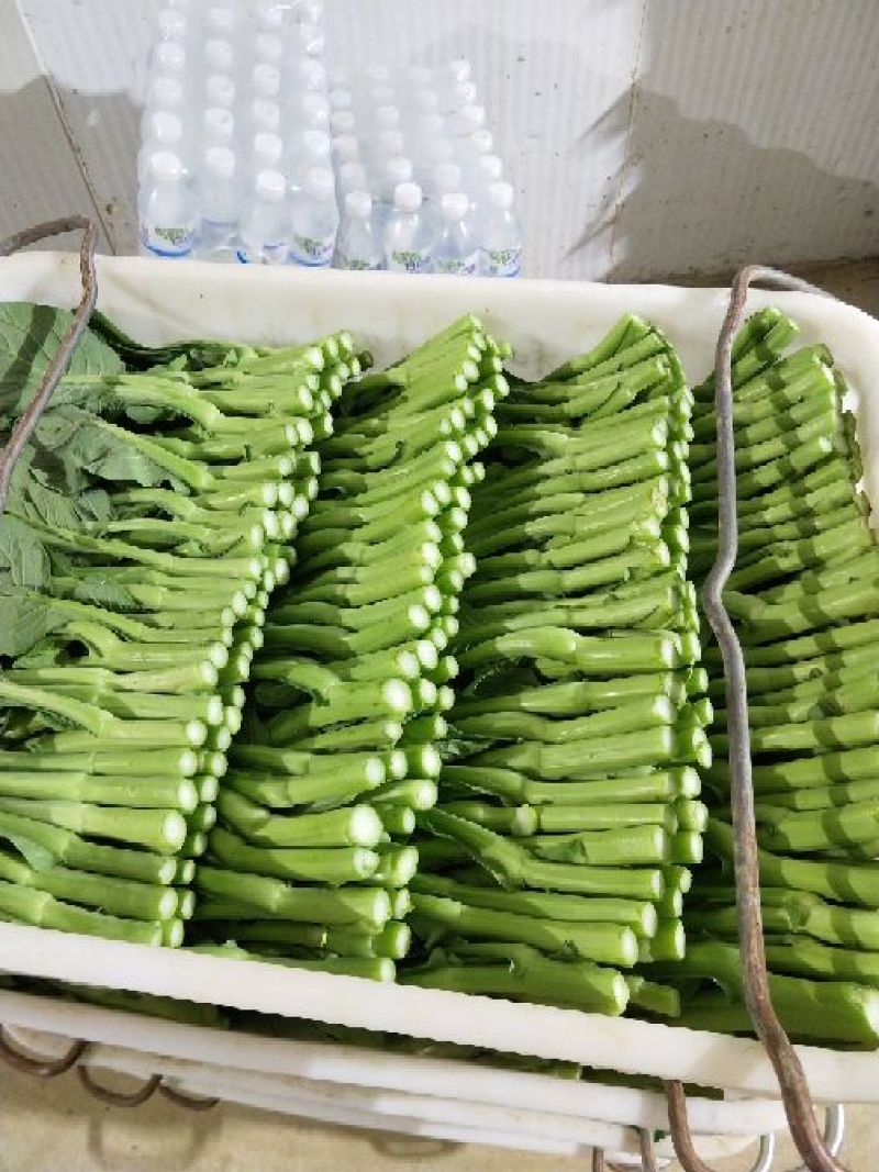 苔菜