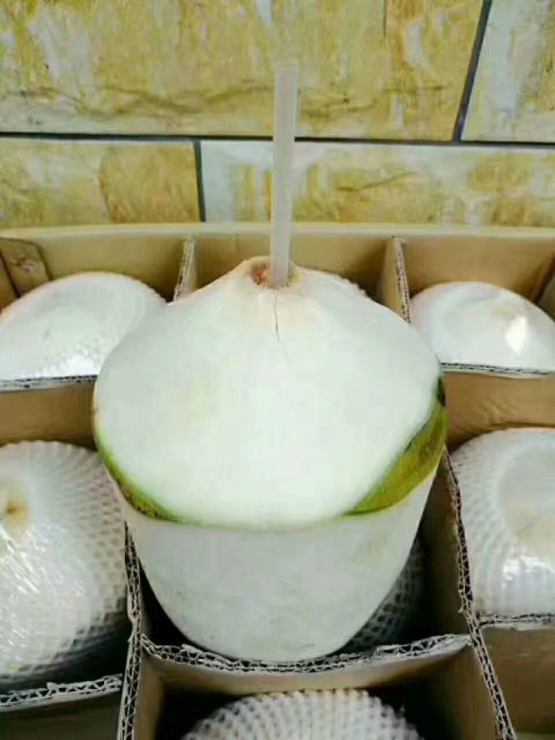 椰子海南椰青
