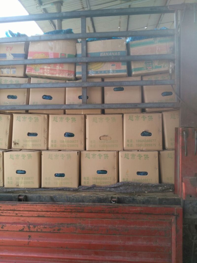 密刺黄瓜干花带刺18公分以下