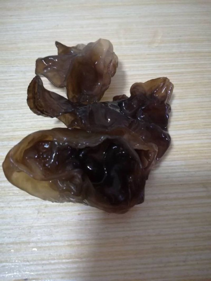 冬木耳一级