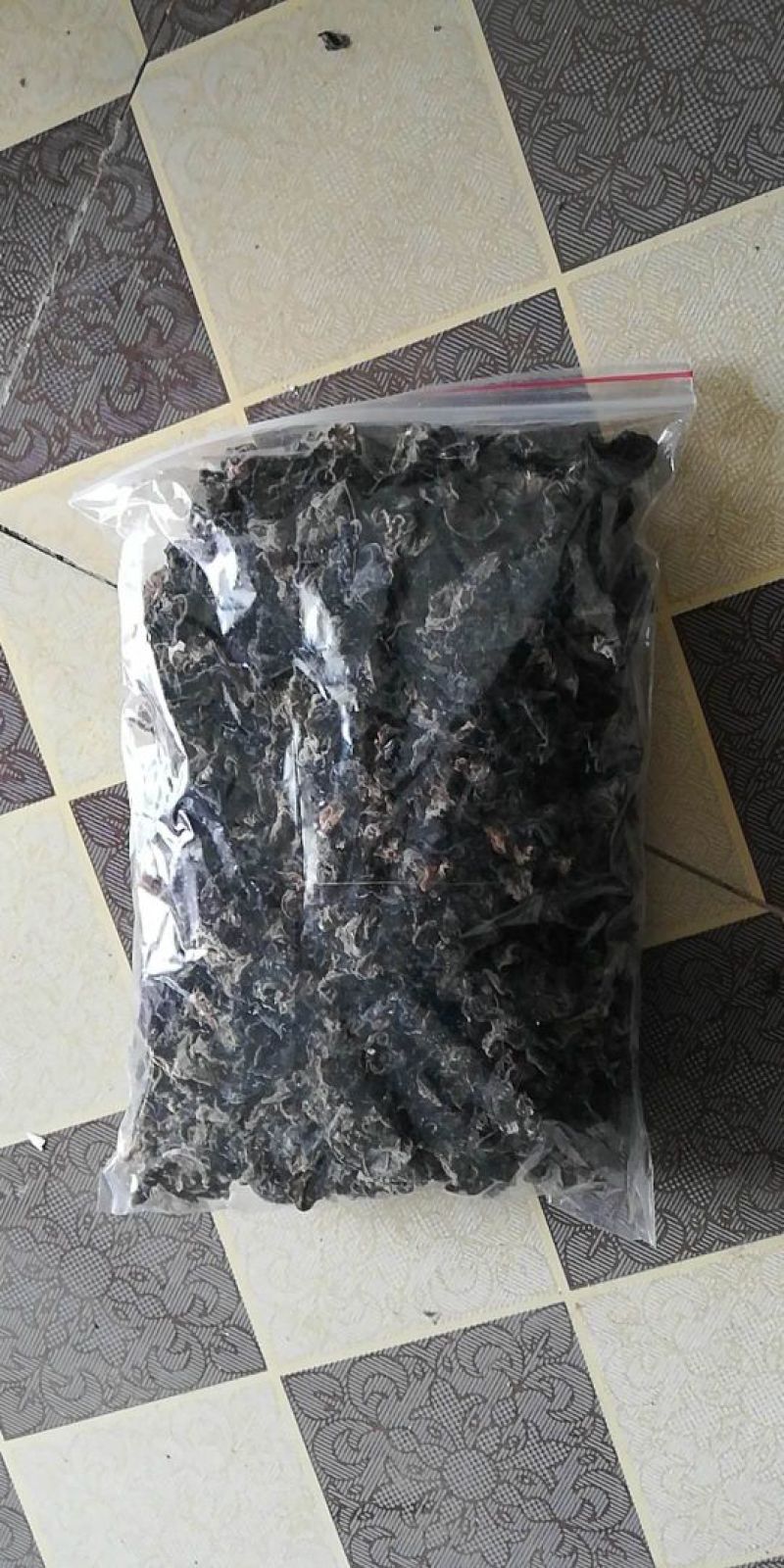 冬木耳一级