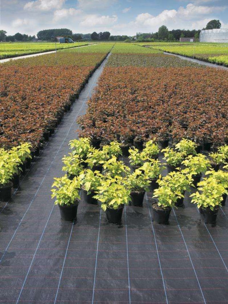防草布厂家直发抗老化全新材质果树园林专用除草布